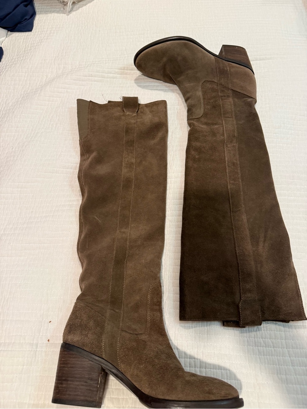 BCBG Tall Suede Knee-High Boots in Brown